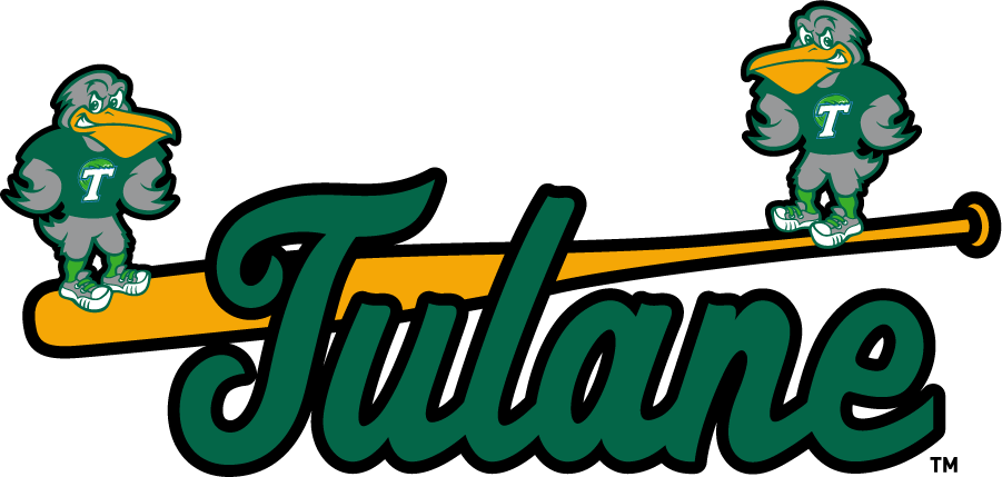 Tulane Green Wave 2017-Pres Misc Logo iron on transfers for T-shirts